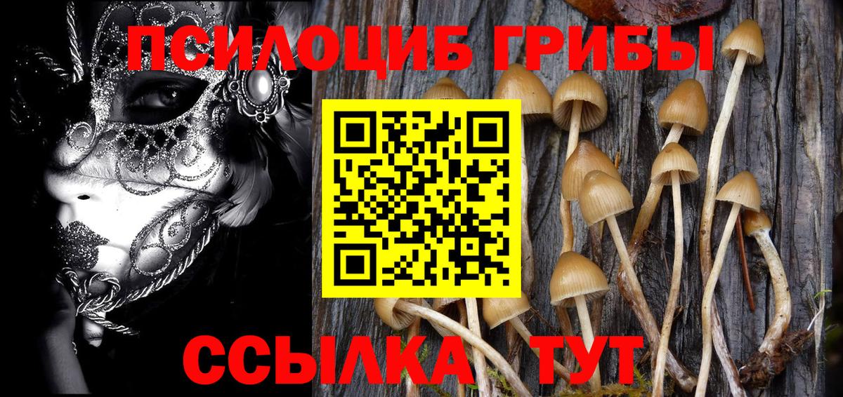 Псилоцибиновые грибы Cubensis  Галлюциногенные грибы мицелий  Кузнецк  Вход с VPN 