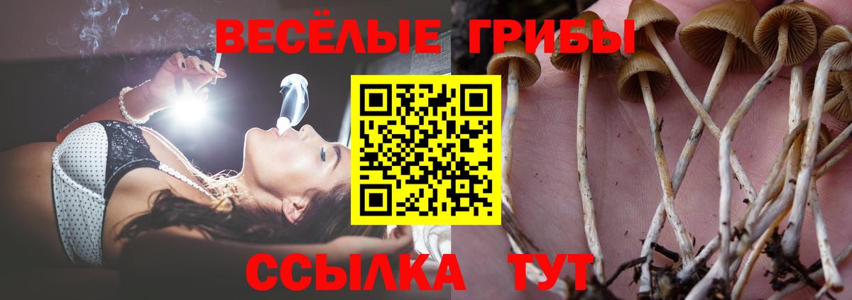 Псилоцибиновые грибы прущие грибы Кузнецк